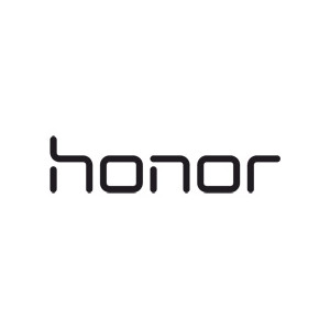 Honor Reparatur