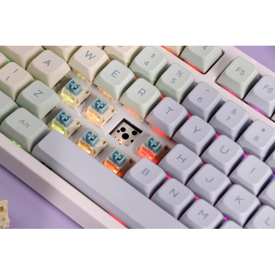 EPOMAKER TH80 PRO ISO ? Mechanische RGB-Tastatur, Hot Swap, Bluetooth, PBT-Tastenkappen, Monet