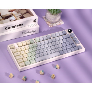 EPOMAKER TH80 PRO ISO – Mechanische RGB-Tastatur, Hot Swap, Bluetooth, PBT-Tastenkappen, Monet