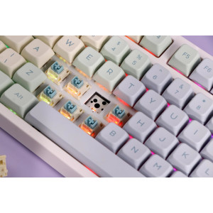 EPOMAKER TH80 PRO ISO – Mechanische RGB-Tastatur, Hot Swap, Bluetooth, PBT-Tastenkappen, Monet