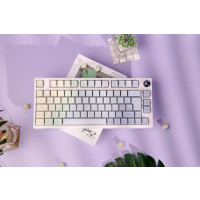 EPOMAKER TH80 PRO ISO – Mechanische RGB-Tastatur, Hot Swap, Bluetooth, PBT-Tastenkappen, Monet